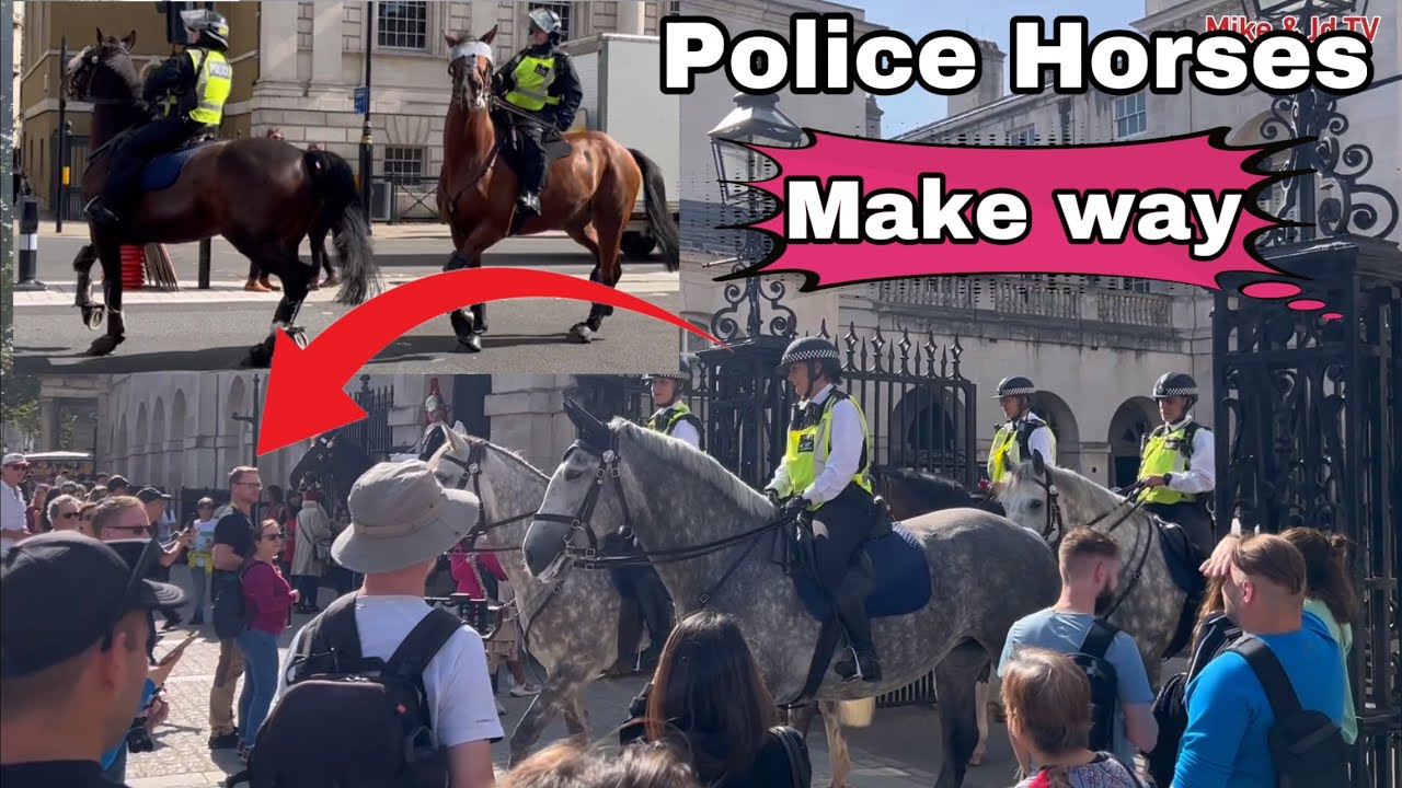 MOUNTED POLICE OFFICERS AND BEAUTIFUL HORSES! | Horse Guard Parade! London England.