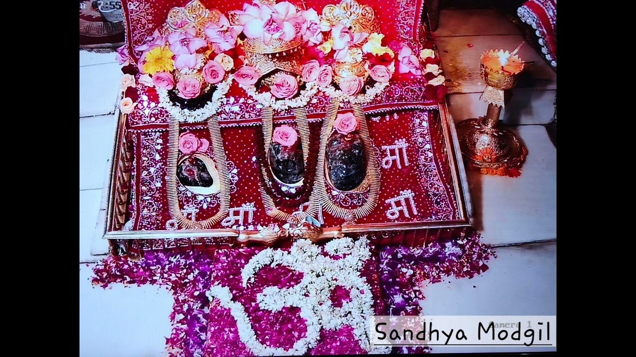 Jaikara sheronwali ka bolke phir tu chalta jaa - Maninder Ji
