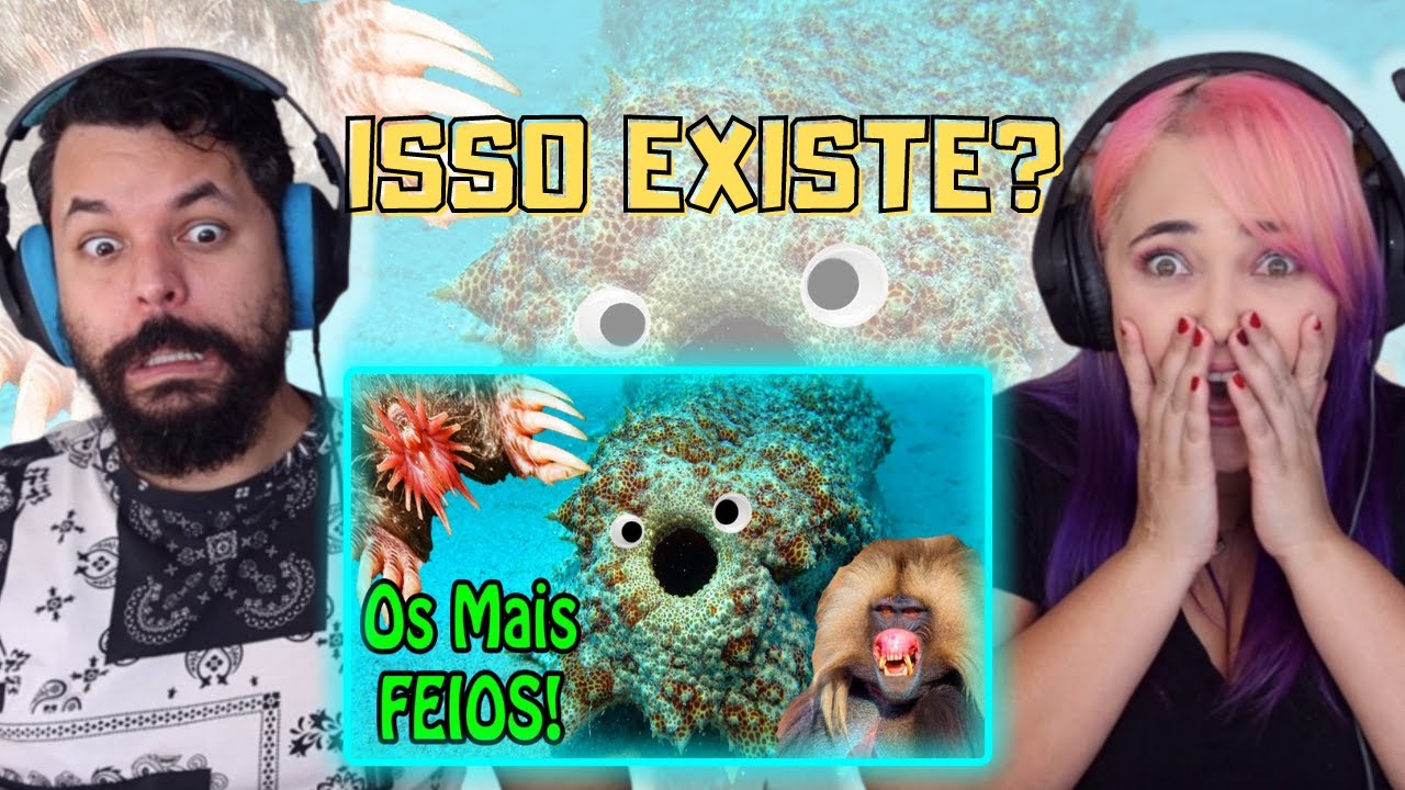 Os Bichos mais Estranhos e Bizarros do Mundo! Só Bicho FEIO! (Fala de Tudo) ‹ REACT ›