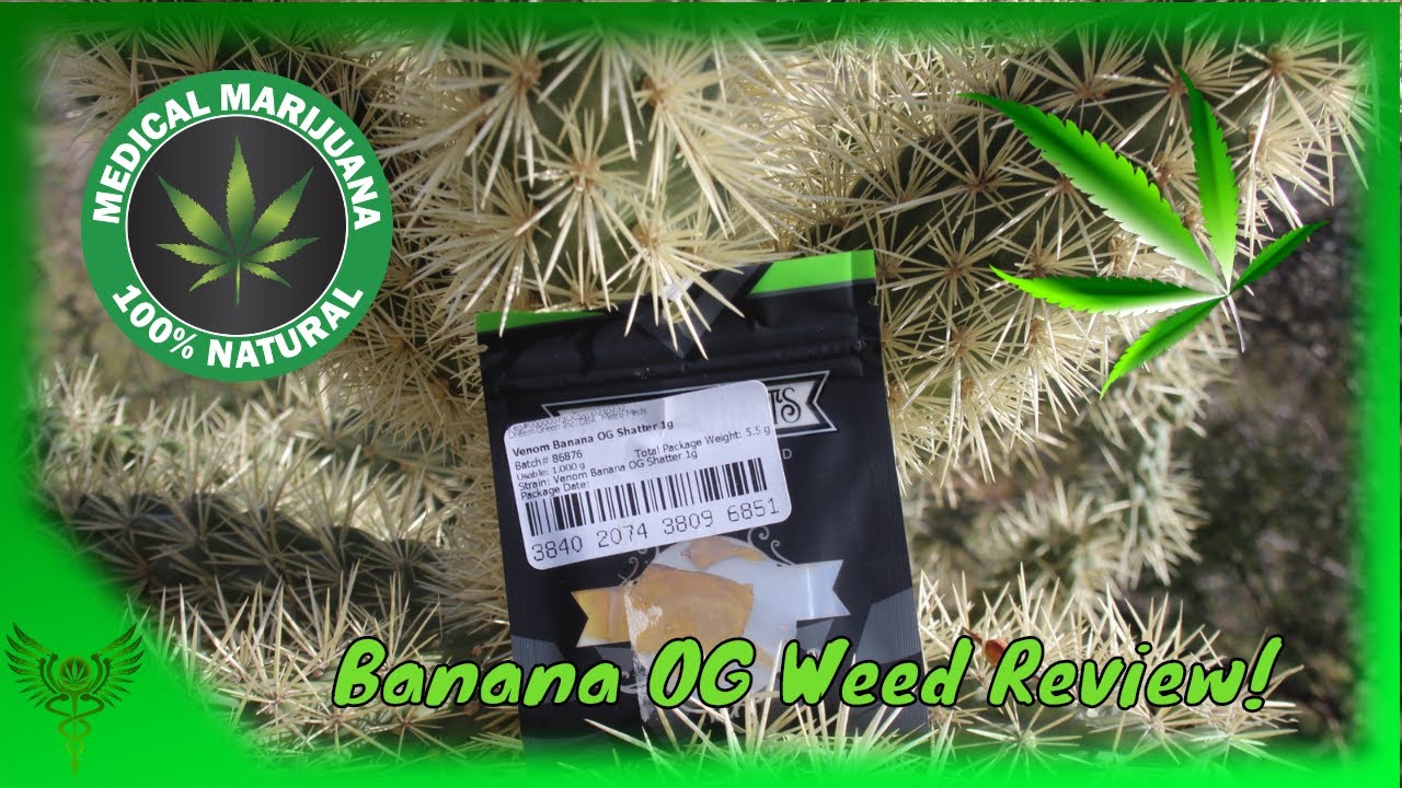 Banana OG Weed Review From @VenomExtracts And @MetroMeds