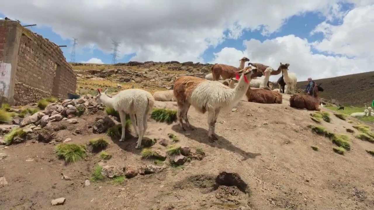 Peru Motortrip: Arequipa - Olantaytambo