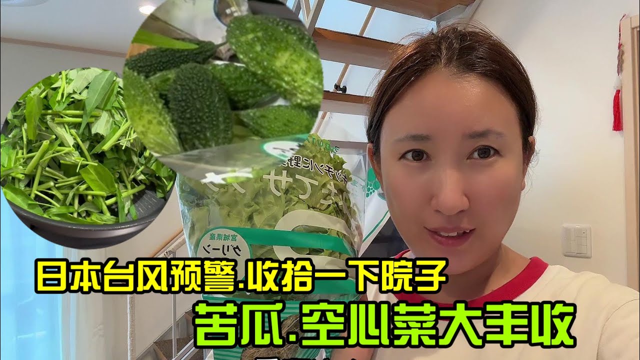 【日本生活】日本臺風預警，趕緊收拾一下院子，苦瓜，空心菜大豐收，晚上可以大吃一頓啦！I  Reaction Video