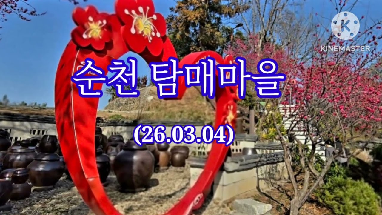 순천 탐매마을의 홍매