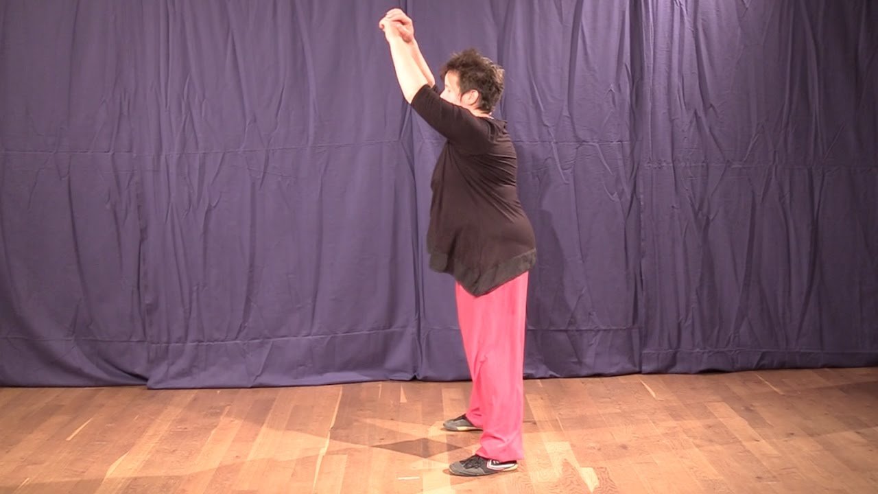 Aufw&auml;rm&uuml;bungen f&uuml;r Qigong, Taijiquan, Wushu