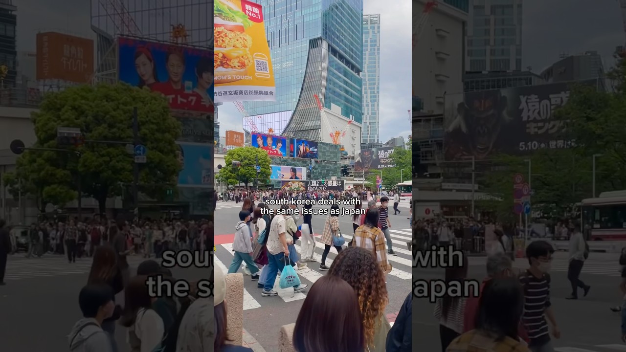 japan vs south korea differences 🇯🇵🇰🇷