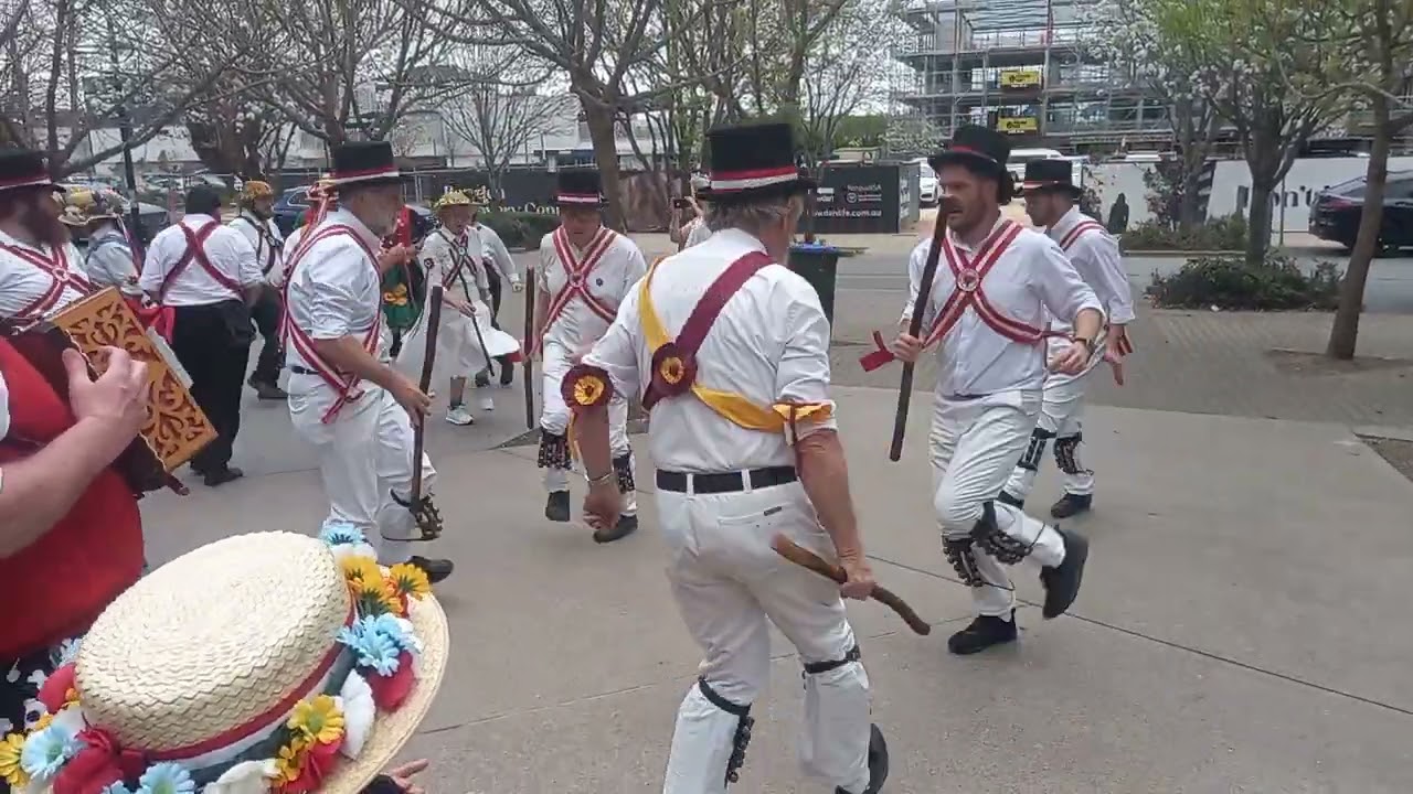 Adelaide Morris Men - Young Collins (Adelaide Ale 2025)