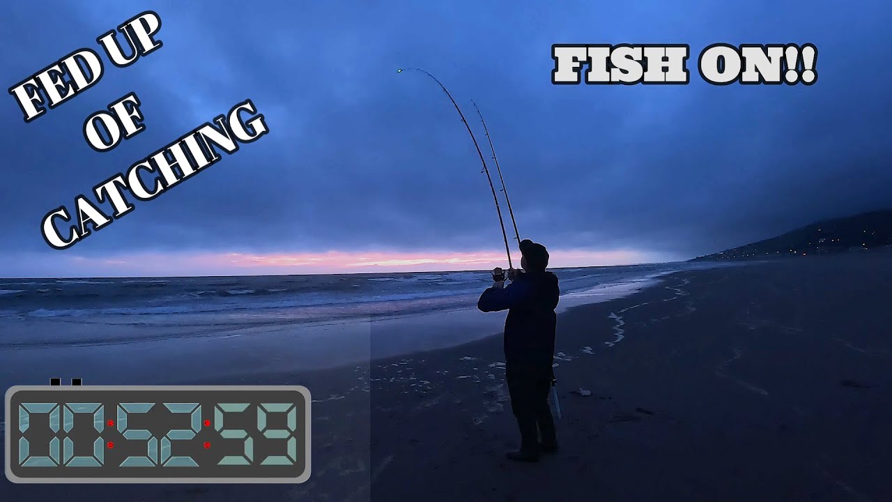 BASS INVASION | BASS A CAST IN WEST WALES | SEA FISHING UK | MASTERFISHERMAN