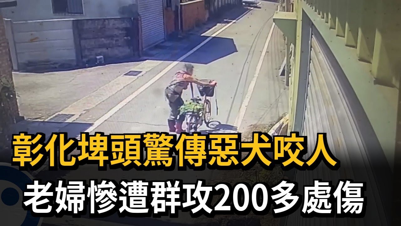 彰化埤頭驚傳惡犬咬人　老婦慘遭群攻200多處傷－民視新聞
