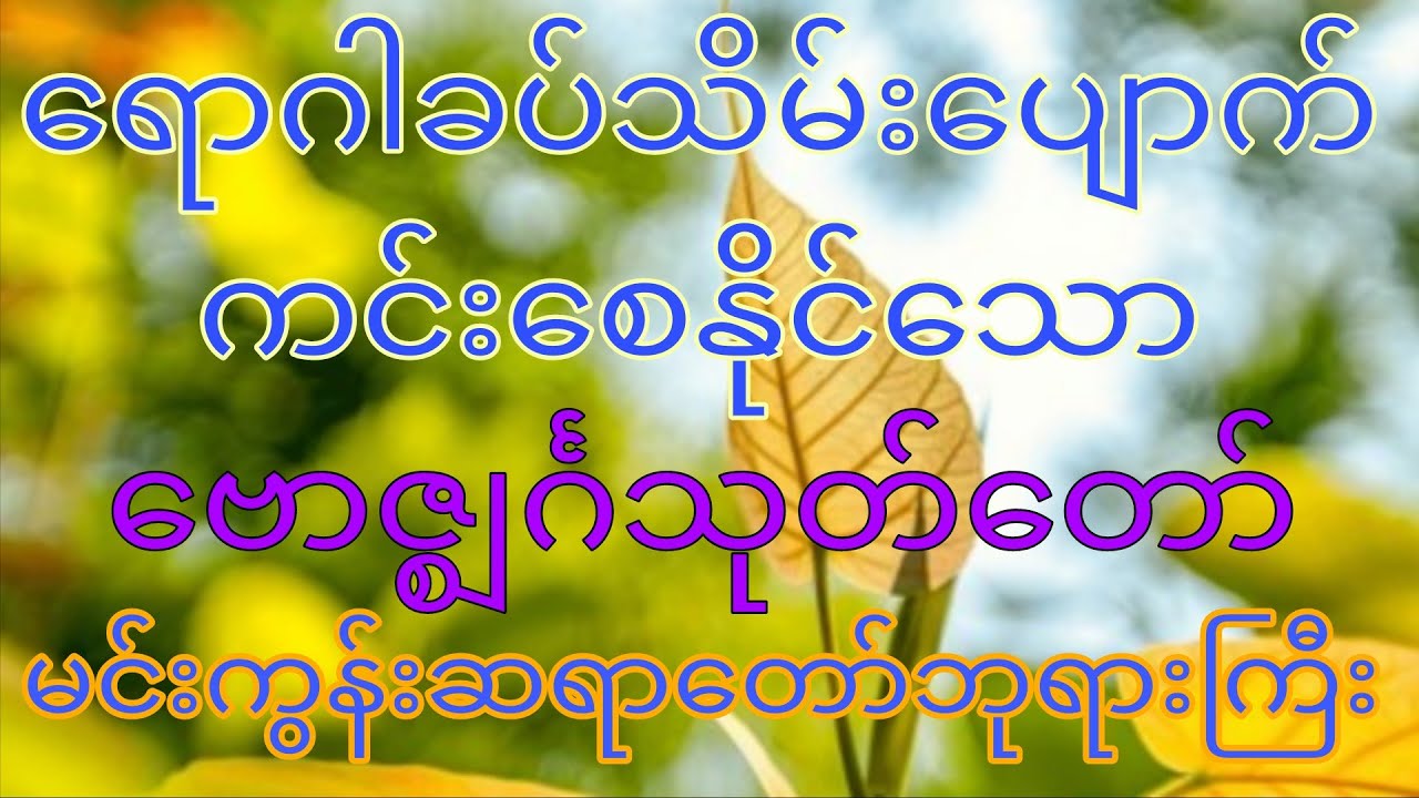 ဗောဇ္ဈင်္ဂသုတ်(မင်းကွန်းဆရာတော်)