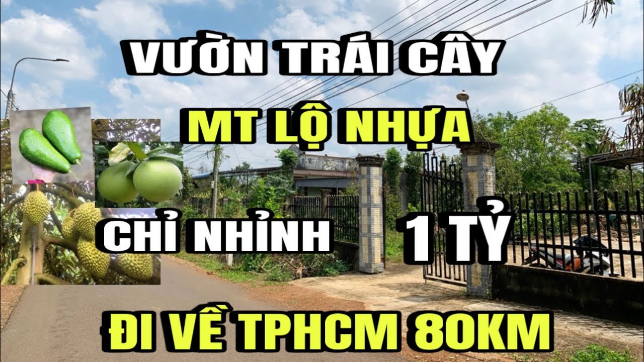 Chú kiệt bán gấp, vườn đủ loại trái cây, MT lộ nhựa, thổ cư, Huyện cẩm Mỹ cũ Đồng Nai