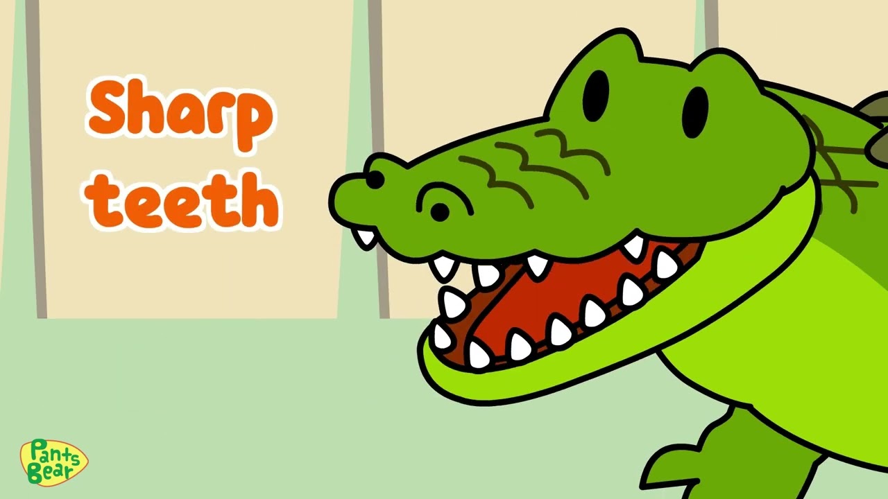 Learn About Animal Body Parts | English For Kids | PantsBear