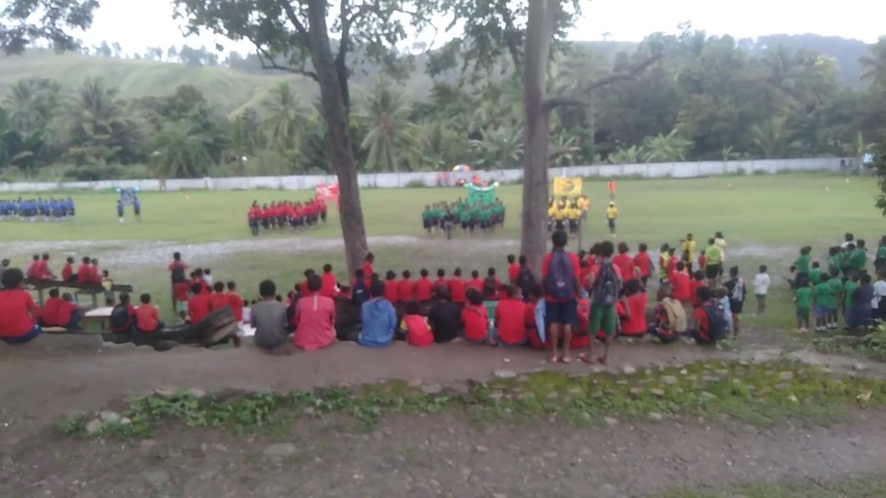 St Peter's Primary School,,, Carnival,,, four house colors matching
