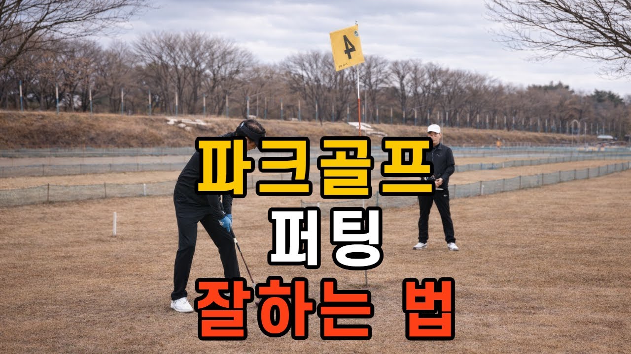 20년 프로가 알려주는 퍼팅 완전정복   #파크골프레슨  #파크골프치는법