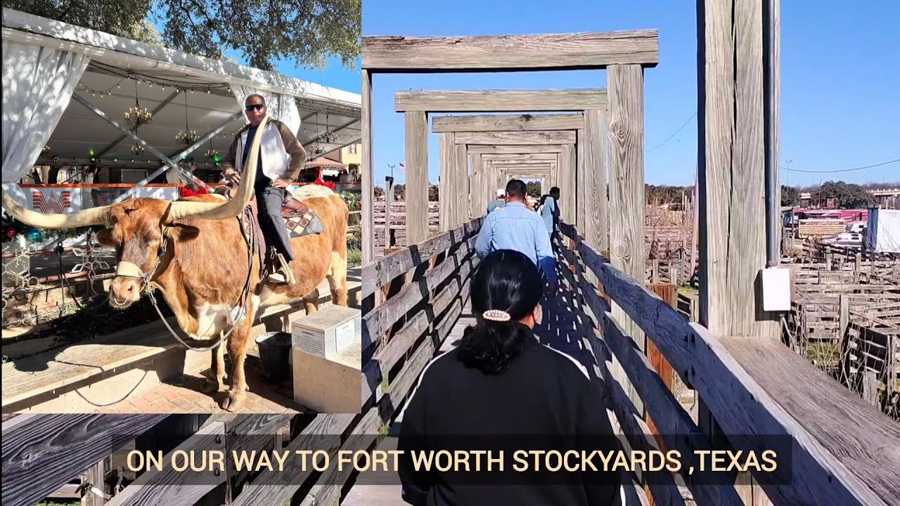 Visiting the COWBOYS of FORT WORTH, #TEXAS. AMAZING EXPERIENCE, MUST-VISIT! 👢🐂