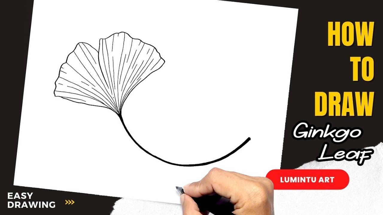 How to draw Ginkgo Leaf