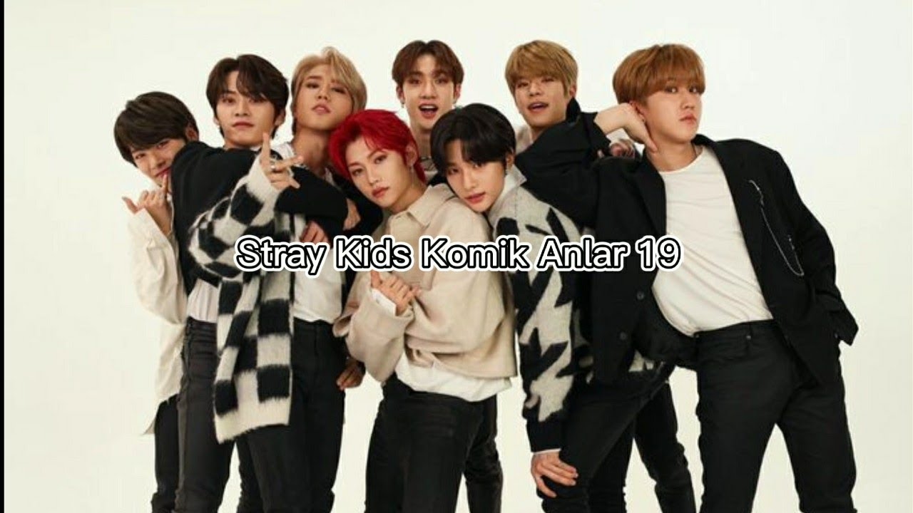 Stray Kids Komik Anlar 19