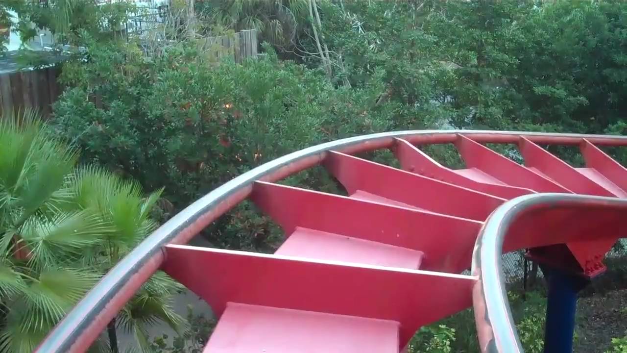 Sheikra (HD onride POV) Busch Gardens Tampa