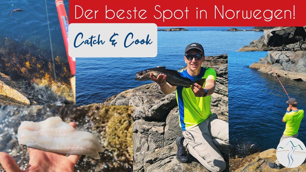 Uferangeln in Norwegen und Catch & Cook | Die beste Angelstelle in Norwegen?