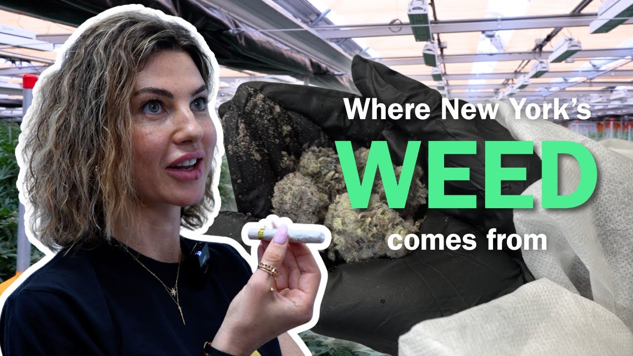From Soil to Spark: How Legal Weed is Grown in New York | Inside MFNY