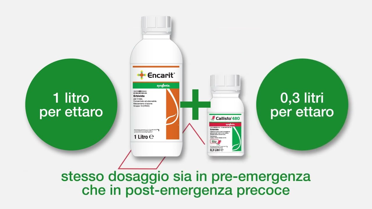 Crea le basi per un grande raccolto di mais: scegli LUMESTRA, scegli il tuo prodotto EXTRA!