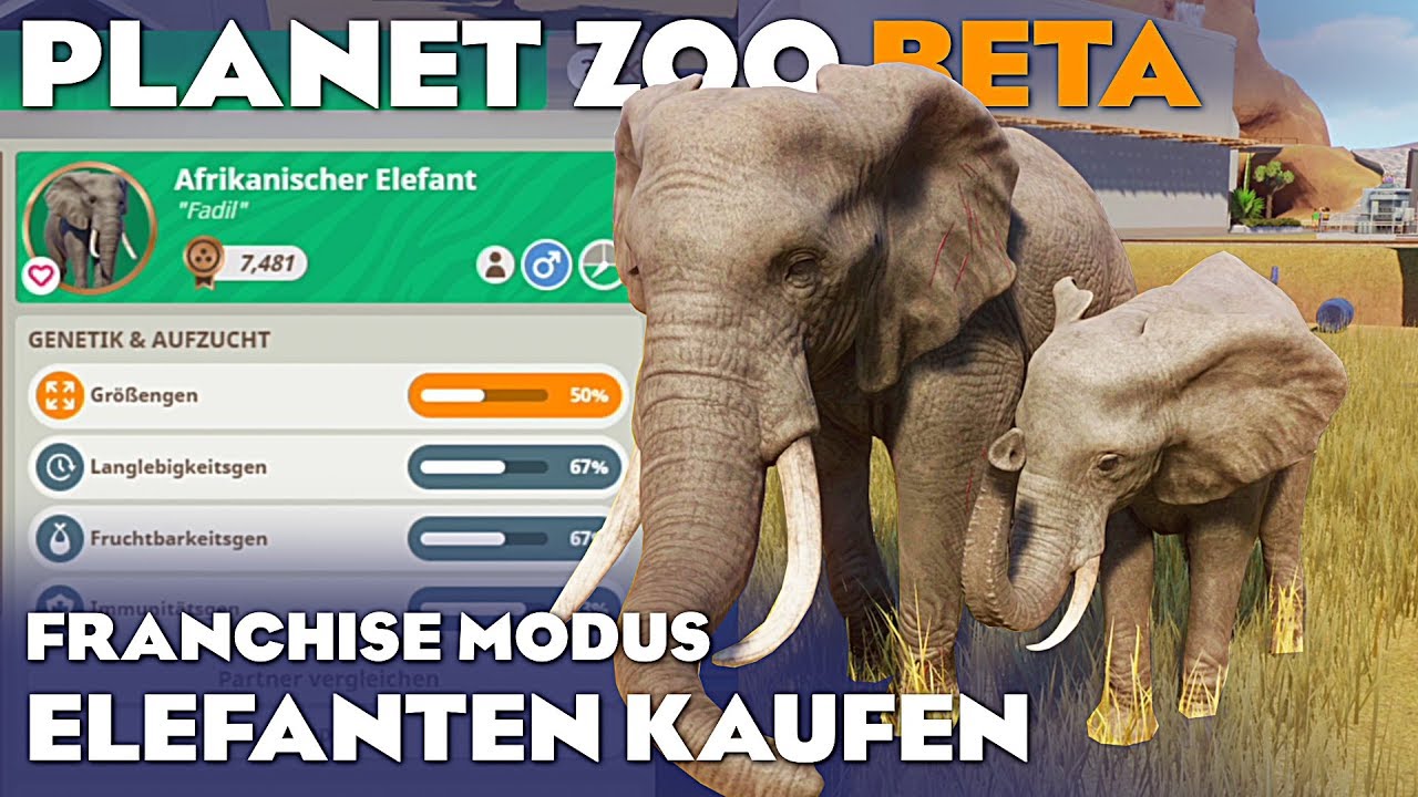 PLANET ZOO BETA ELEFANTEN KAUFEN 4K Planet Zoo Deutsch German Gameplay #22