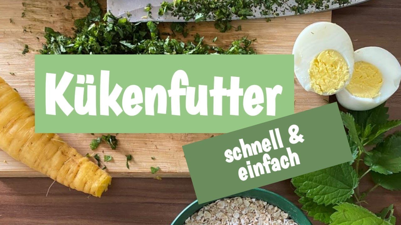 Kükenfutter selber machen | lecker, schnell & einfach 🐤🐣🥕