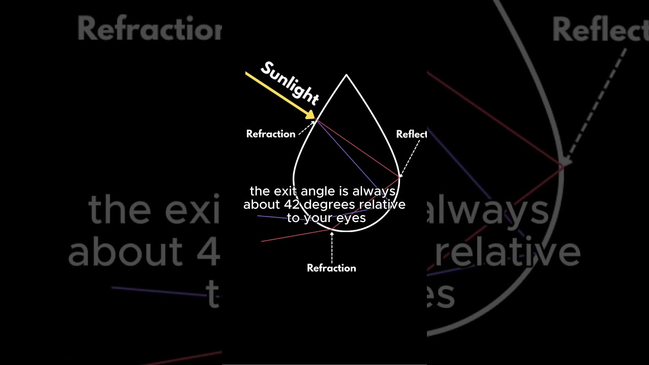 Why Are Rainbows Curved? #light #rainbow #science #scienception