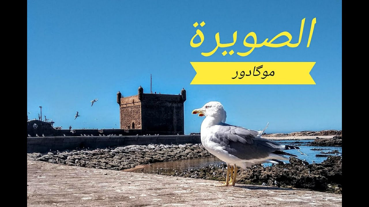 جولة في شوارع مدينة الصويرة 🚗 Essaouira driving tour