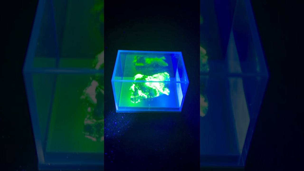 Autunit minerał Uranu. Piękny ż&oacute;łty kolor i jak potężnie świeci w UV! #minerals #uv #uranium
