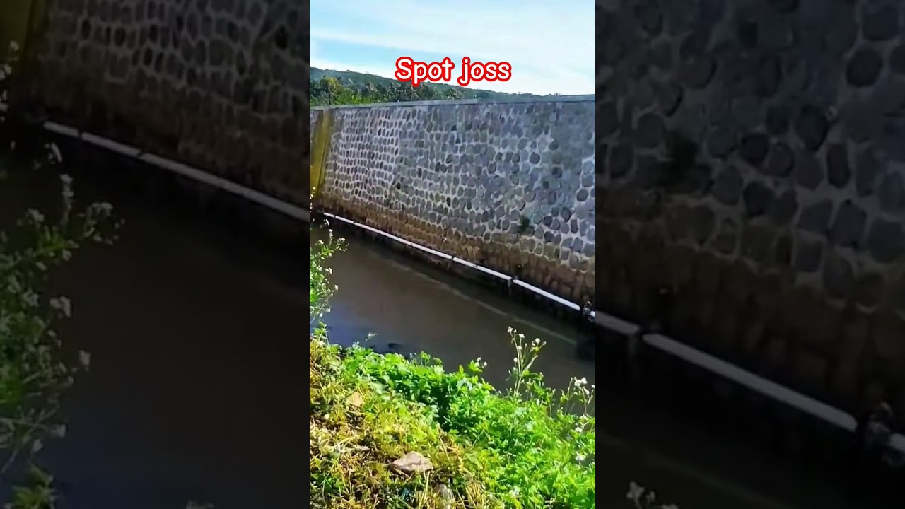 spot mancing #rawapening #mancing #ikan #mancingikanmujaer #mancingmania #fishing #mancingikan