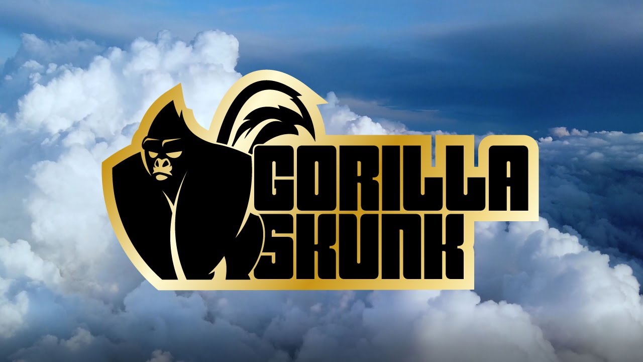 Angel | GorillaSkunk | Music Video