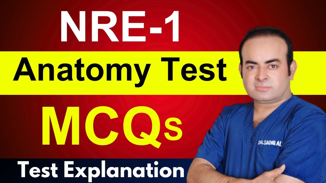 NRE-1 Anatomy Test Discussion