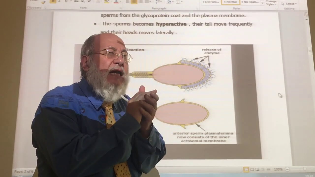 General embryology 9  (  Fertilization  ) , by dr. wahdan