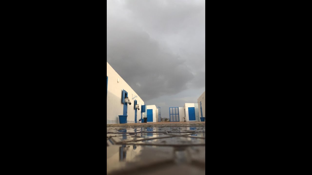 الاسطبل  الجديد