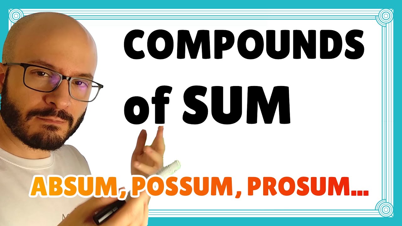COMPOUNDS of the verb SUM