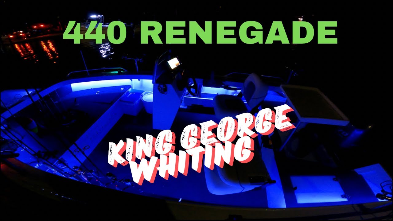 Quintrex Renegade 440 S.C. Ловля мерланга.