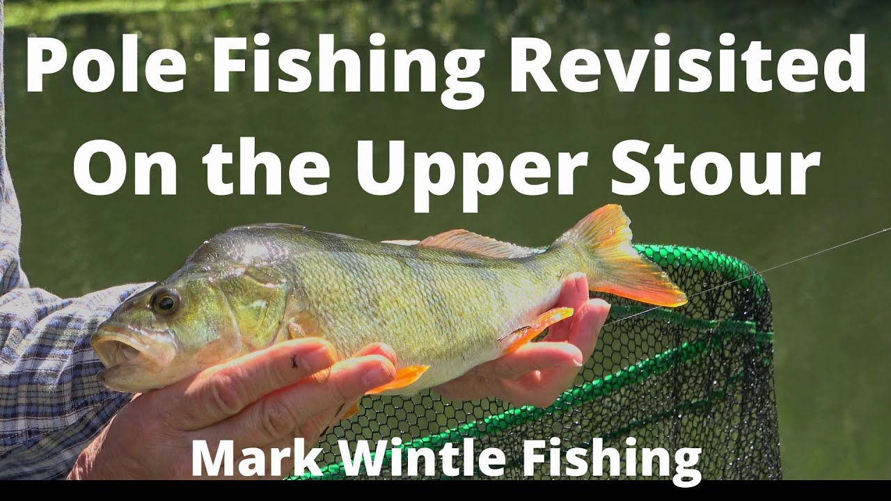 Pole Fishing Revisited On The Upper Stour