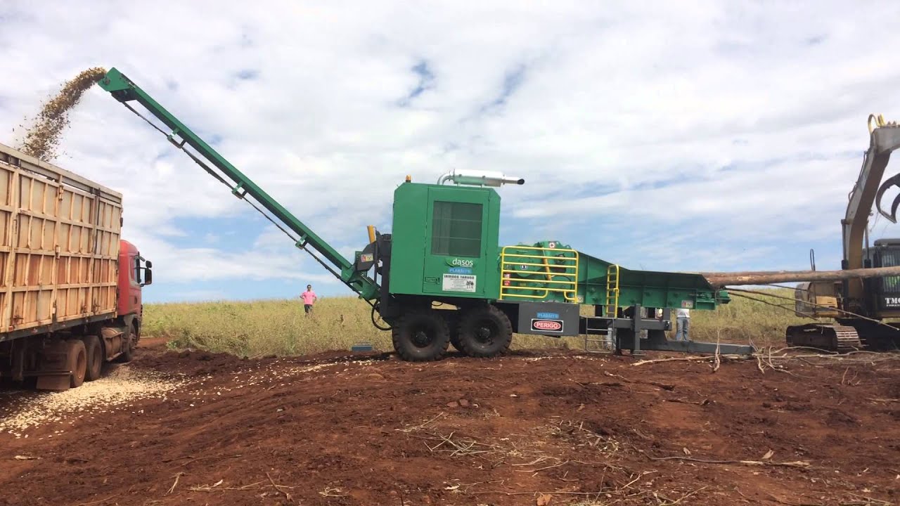 DASOS Florestal - picagem cavaco eucalipto