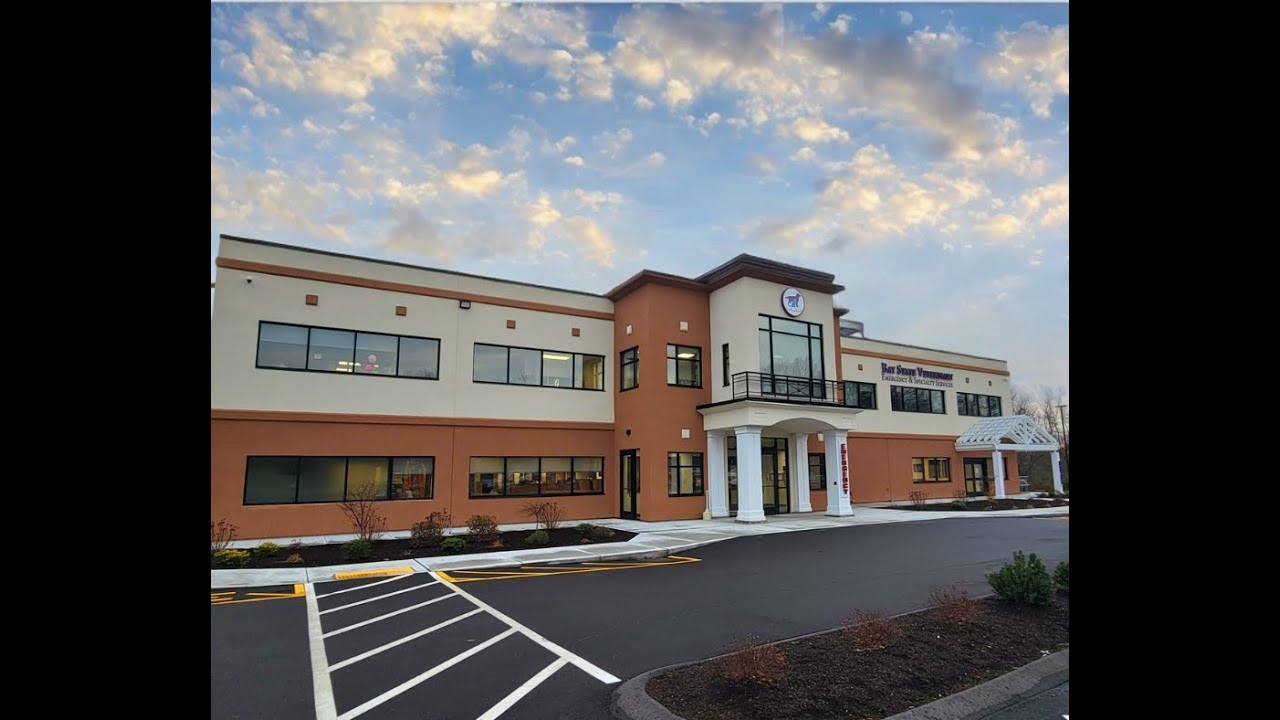 Emergency Veterinary Mentorship Program - Bay State Veterinary Emergency & Specialty Services