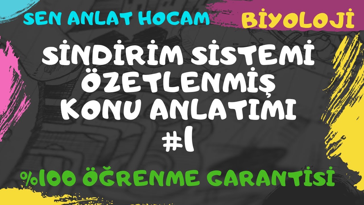 SİNDİRİM SİSTEMİ ÖZETLENMİŞ KONU ANLATIMI 1 | TEKRAR YAPMAK İSTEYENLERE  |  AYT BİYOLOJİ | ✅