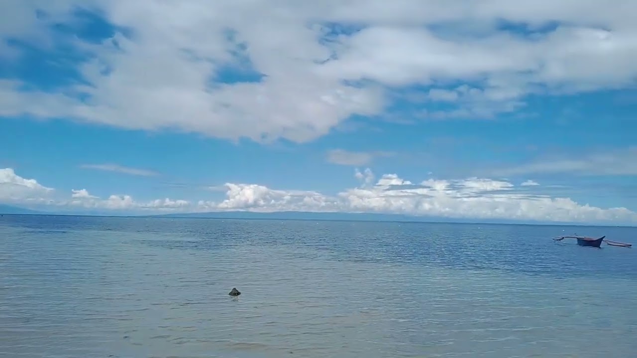Fish Sanctuary 