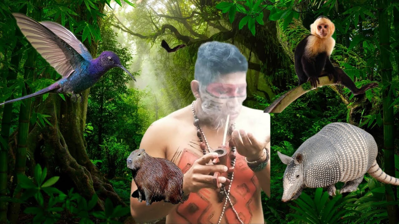 10 nomes de animais na  linguagem mbya guarani