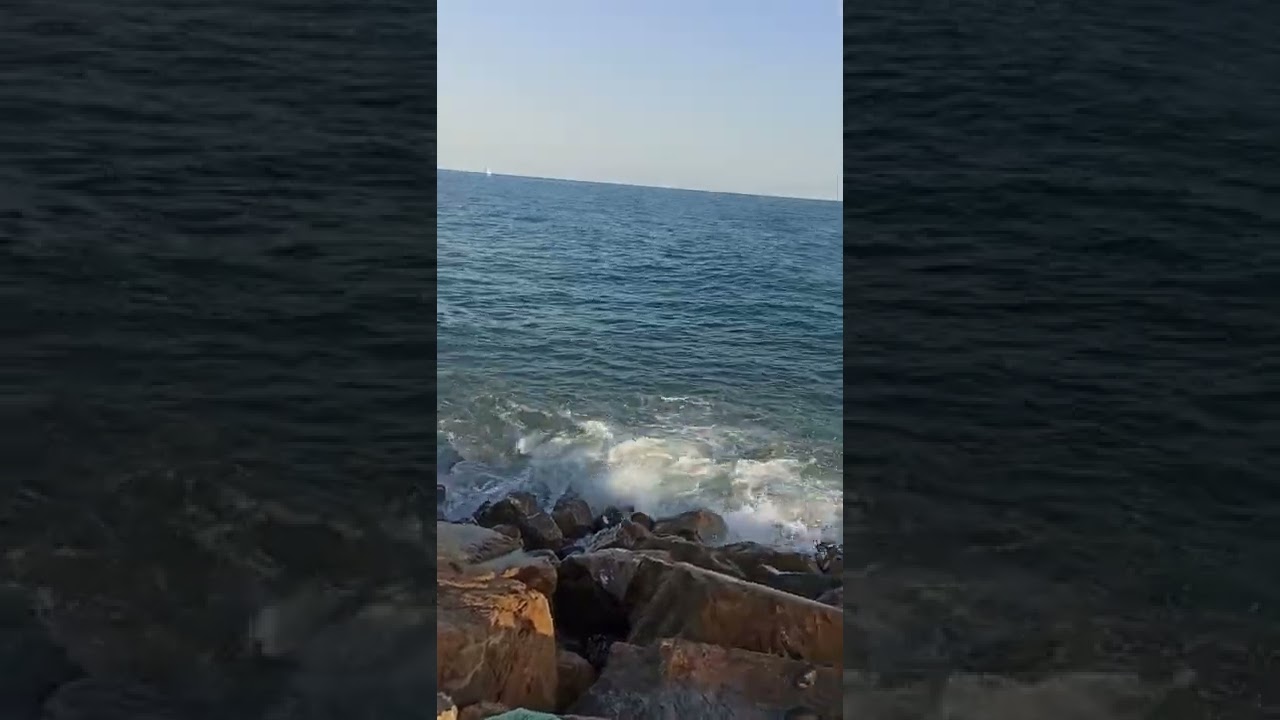 Pesca Porto di Roma Ostia