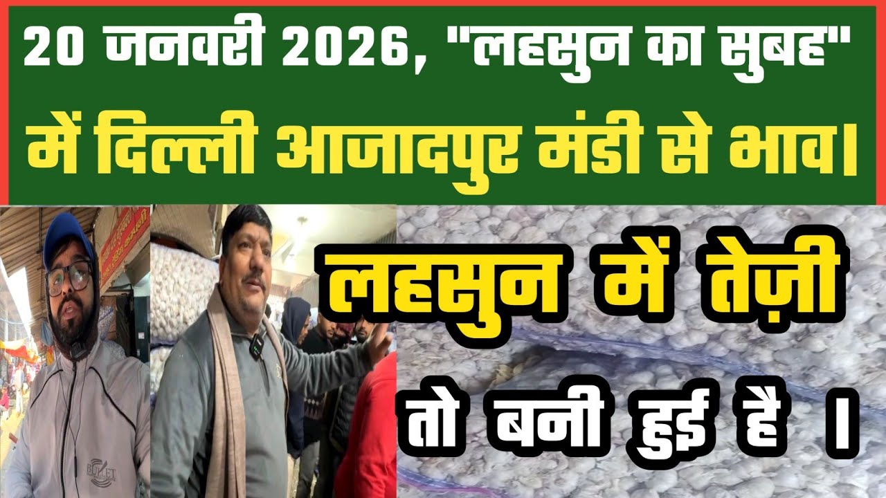 लहसुन में तेज़ी का रुख Azadpur Delhi Mandi Today 20-01-2026 को बने ऐसे Garlic Price DMT TV 