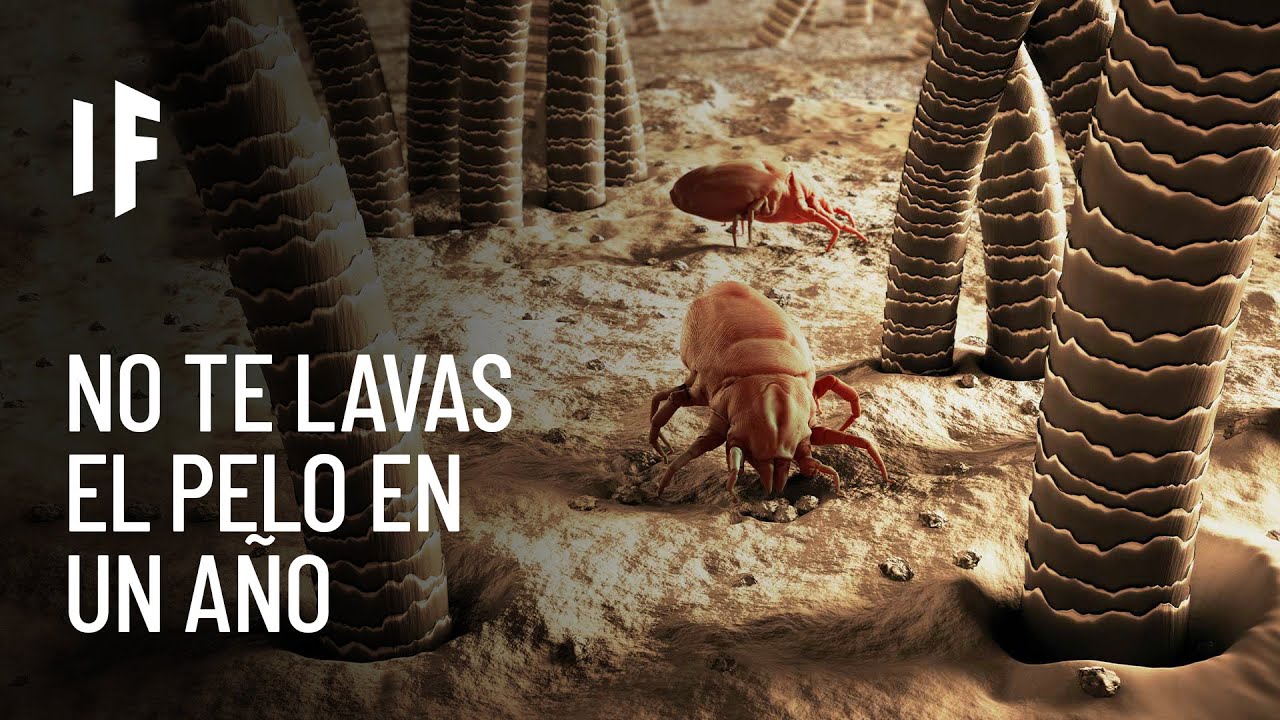 ¿Qué pasaría si no te lavaras el cabello por un año?