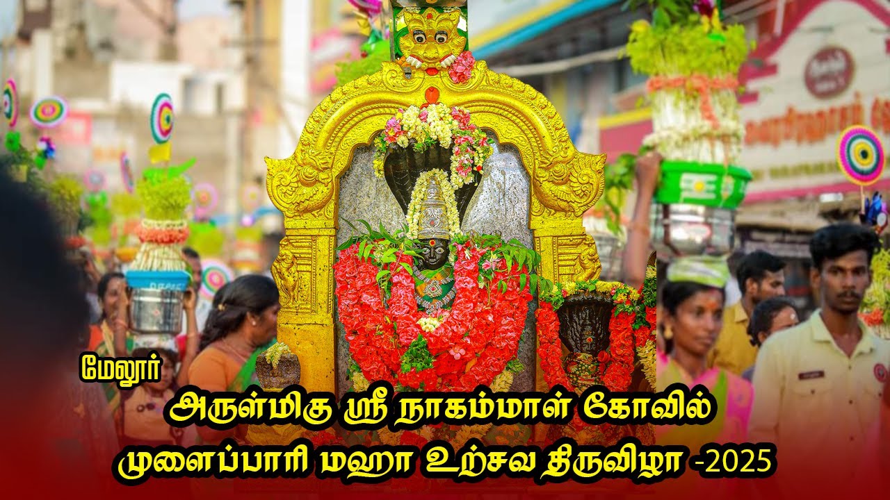 மேலூர் அருள்மிகு ஸ்ரீ நாகம்மாள் திருக்கோவில்  முளைப்பாரி உற்சவ திருவிழா-2025