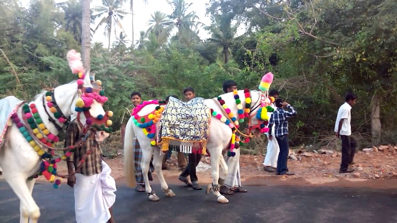 Muthupet handhoori
