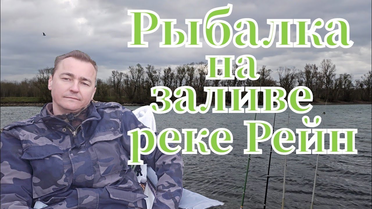 Активная рыбалка 🎣 на заливе реке Рейн клюнул подлещик #рыбалка #angeln #fishing #pescado #see #лещ 