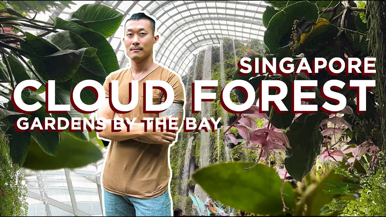 Cloud Forest Singapore | Large Aroids, High-elevation plants, Epiphytes Tallest Indoor Waterfall!