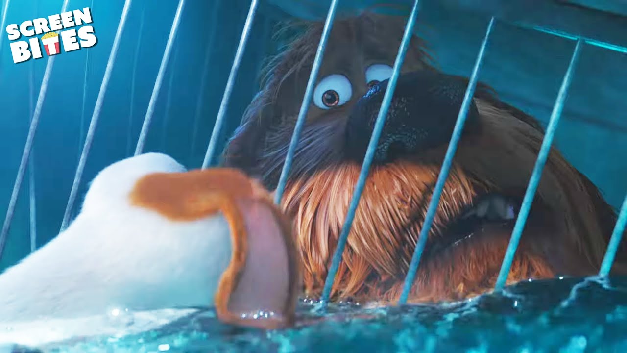 Max Saves Duke's Life | The Secret Life Of Pets (2016) | Screen Bites